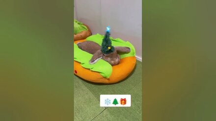 🎁 Наступает новый год 🎁