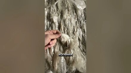 ⬆️ Короче сегодня 111 день отчета и пленка на сегодня это не выгодно, в шапке полный выпуск