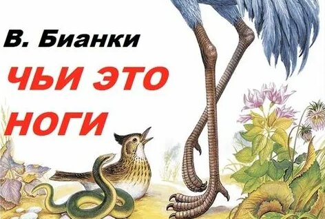 Лабия мөлшері жыныстық қатынас мөлшері