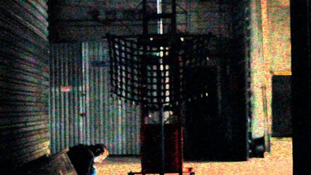 MVI 3982