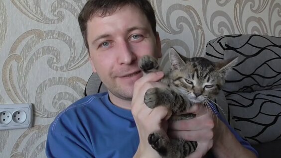 Как приучить котёнка к туалету. Советы ветеринара. — Видео от Хвостик. Кудымкар