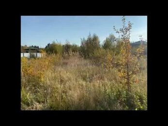 Расчистка участка до и после