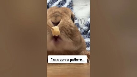 Главное на работе...🧐