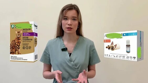 Гельминты у кошки: как защитить питомца и семью. — Видео от Ветеринарная клиника Движен…