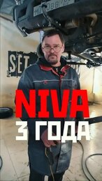 Нива Тревел что произошло за 3 года?