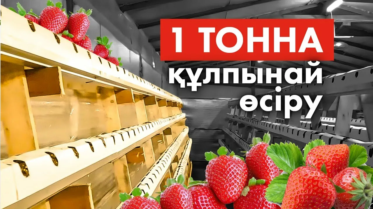 Құлпынай секс порно видео онлайн