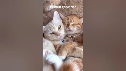 Видеоролик для группы ВКонтакте Мебель в стиле ЛОФТ | IN_DA_LOFT