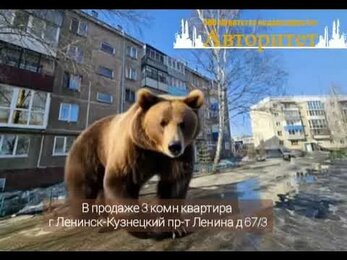 В продаже квартиры город Ленинск-Кузнецкий АН Авторитет 8960-916-95-16