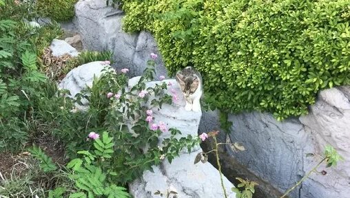 Merve Taşkın Türk İfşa Görüntüleri - Şaşırtıcı Detaylar