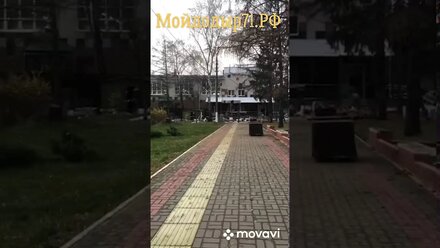 Мытьё окон с помощью альпинистов в ШОР «Юность» в г. Тула.