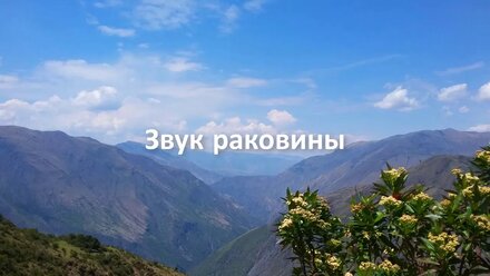 Звук раковины. Индия