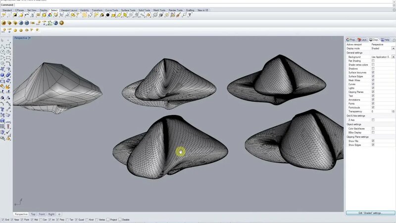 Advanced rhino / Nurbs to mesh / reduce mesh / mesh to polysurface ...