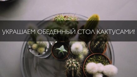 ФЛОРИСТИКА ДЛЯ ДОМА: Композиция на обеденный стол с кактусами