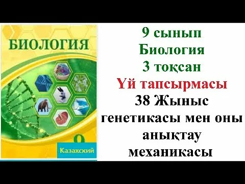 Аяқтары бар әйелдің жақыннан түсірілген видеосы кең тарады