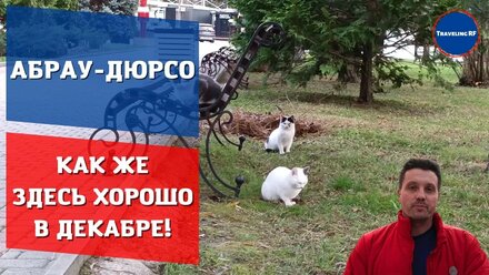 Декабрьская атмосфера в Абрау-Дюрсо | Абрау-Дюрсо перед новым годом. (ENG SUB)