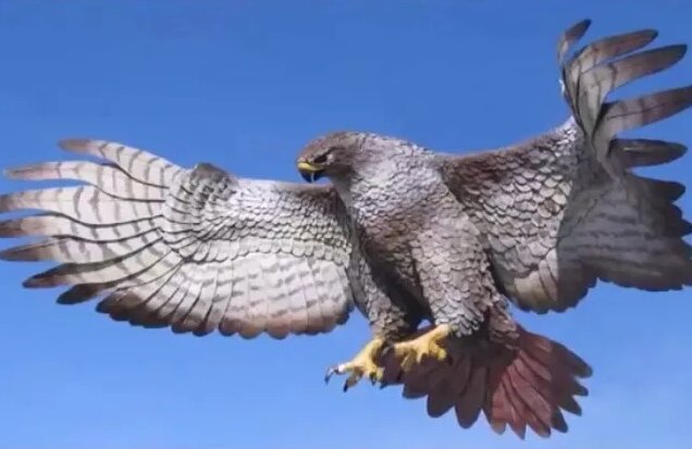 Yırtıcı Kuş sesi kartal doğan şahin atmaca kerkenez sesi - Yandex Video ...