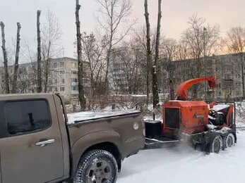 Кронирование тополей в детском садике