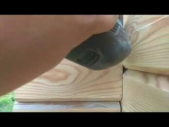 Шлифовка деревянного дома видео - компания Том Сойер