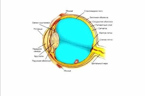 Тек орысша порно