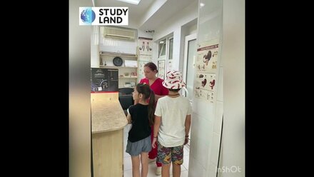Профориентация для детей. Ветклиника