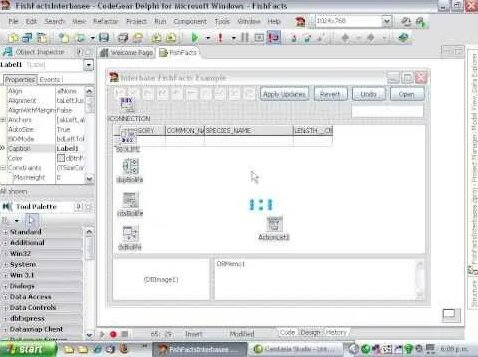 Delphi Programming Tutorial #50 - ClientDataSets & DataSetProviders ...