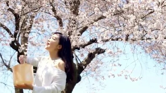 «Сакура , Сакура » ( Японская народная песня )