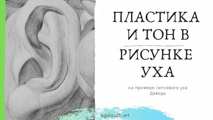 06_2_Пластика и тон в рисунке уха