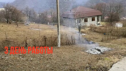EcoWooD расчистка участка в Сочи. #расчисткаучастков #ecowood #sochi