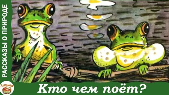 Есек порно видео