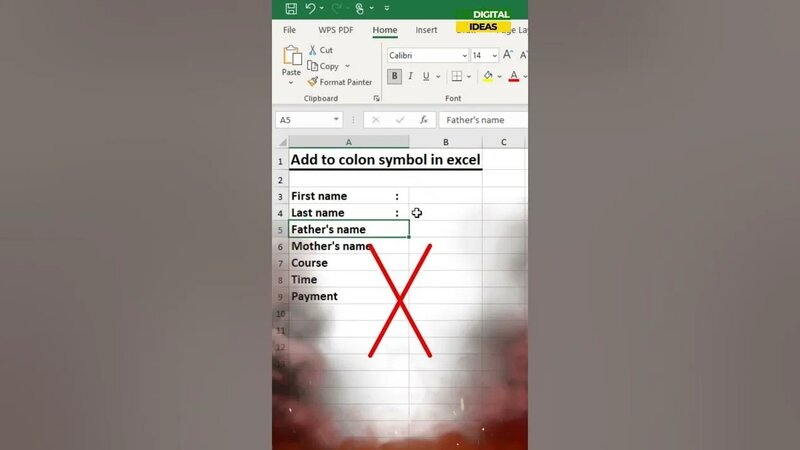How to Automatically Insert Colon in Excel | Add Colon at End of Cell ...