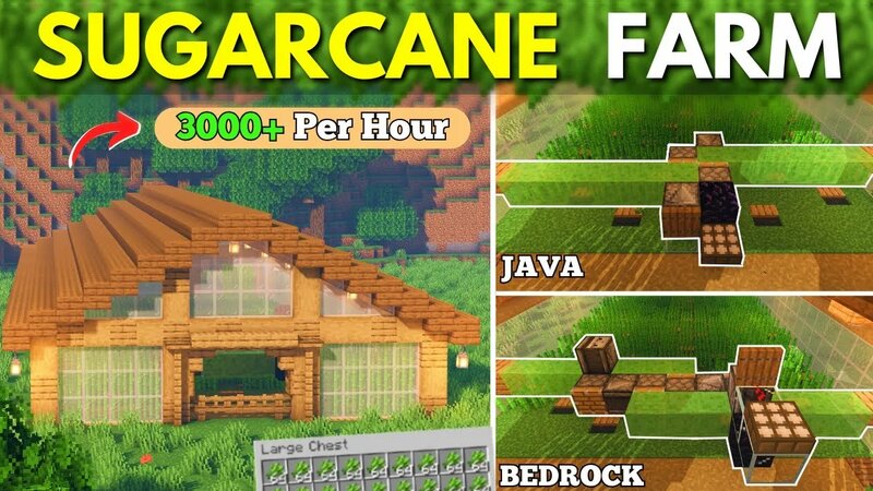 Minecraft Easiest Automatic Sugar Cane Farm 1.21+ / Bedrock and Java ...