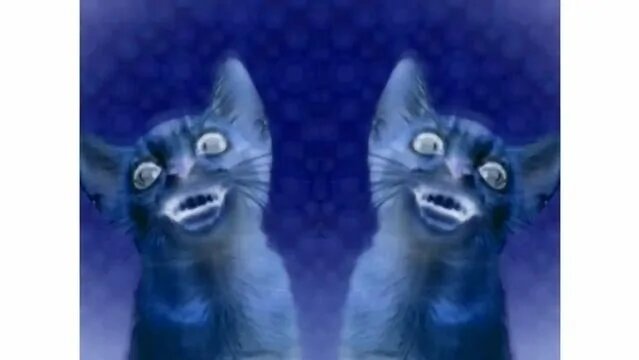 Preview 2 Numa Cat effects [Sponsored by Preview 1982 effects ...