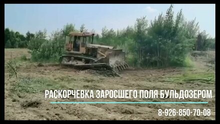 Раскорчевка заросшего сельхоз поля бульдозером