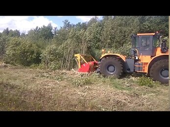 Мульчер Starforst 260 на тракторе Станислав К705