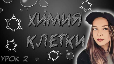 УРОК 2. химия клетки | химические элементы | вода | органические и неорганические вещества для ЕГЭ