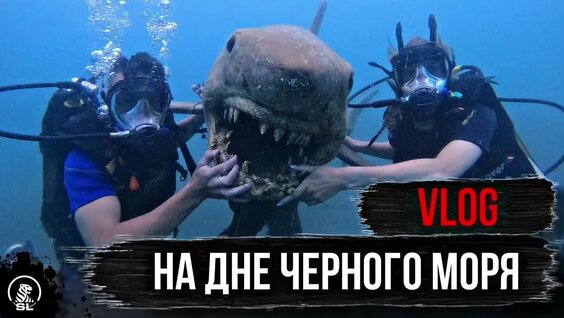 День в Сочи: Дайвинг в Черном море и Неверояиная фотосессия на берегу — Видео от Подводн...