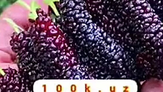 Ксения Сухинованың жеке эротикалық суреттері