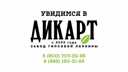 Добро пожаловать в Дикарт!