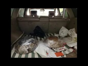 Химчистка салона Hyundai Santa Fe в Электростали