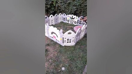 Стелла фиделис Интриганка, бигль 2 месяца. 8-927-277-24-37 #puppy #собаки #бигль