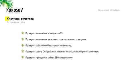 Управление проектами веб-студии. Тестирование