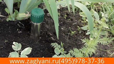 Отпугиватель SITITEK Гром-Профи М
