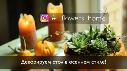 ФЛОРИСТИКА ДЛЯ ДОМА: Композиция из суккулент в тыкве