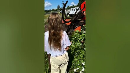 Карельский вояж 💚