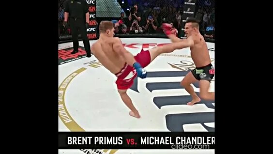 Майкл Чендлер получил травму, Bellator — Видео от Staredown. Новости UFC и MMA