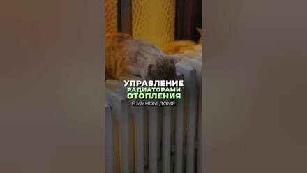 Отопление в УМНОМ ДОМЕ. Умный радиатор отопления #knxsmarthome #отоплениечастногодома