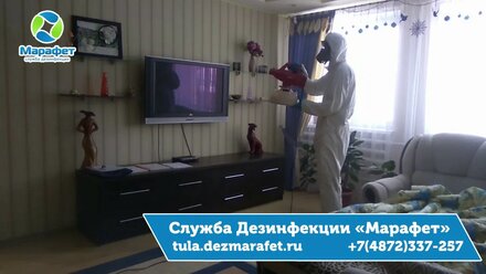 Как вывести мошек в Туле ДезСлужба Марафет