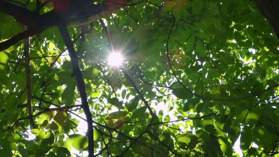 Релаксация с голосом. Аутотренинг для успокоения нервной системы — Видео от Архетипическая психосома...