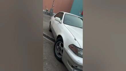 Заслуживает лайка! Марк с пробегом 740.000 км