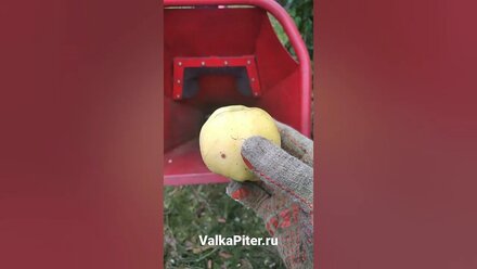 Кормили дробилку антоновкой 😀